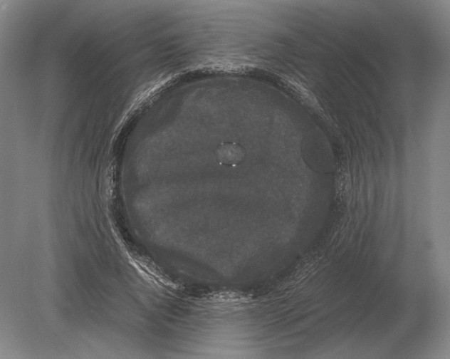 X0000078840736200612041839