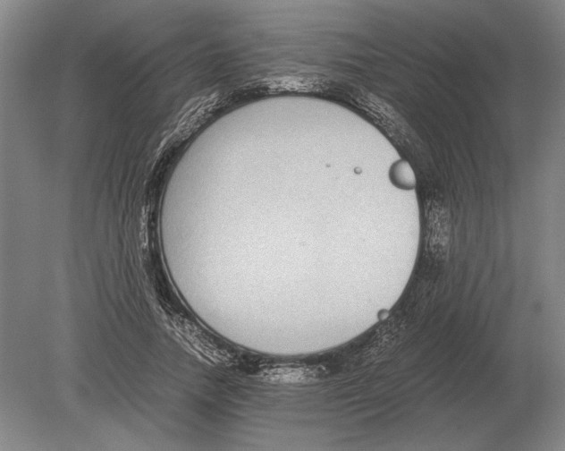 X0000078840738200612041839