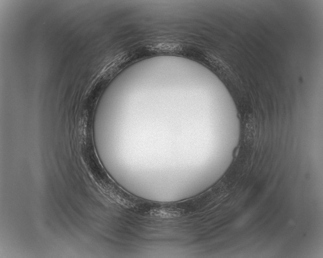 X0000078840739200612041839