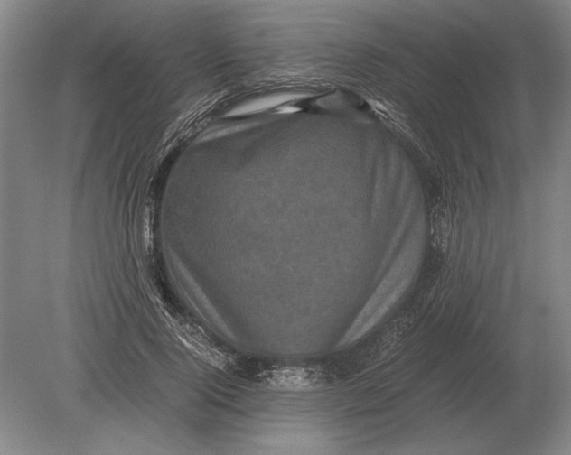 X0000078840740200612041839