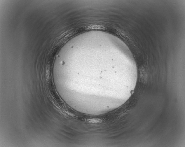 X0000078840741200612041839