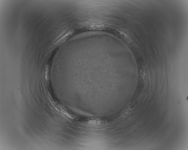 X0000078840744200612041839