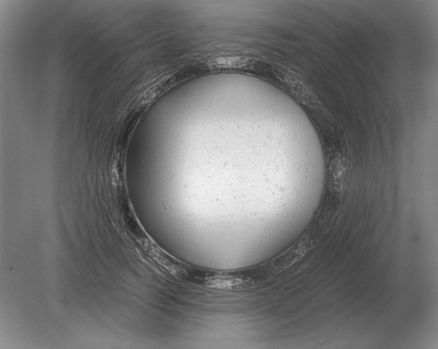 X0000078840746200612041839