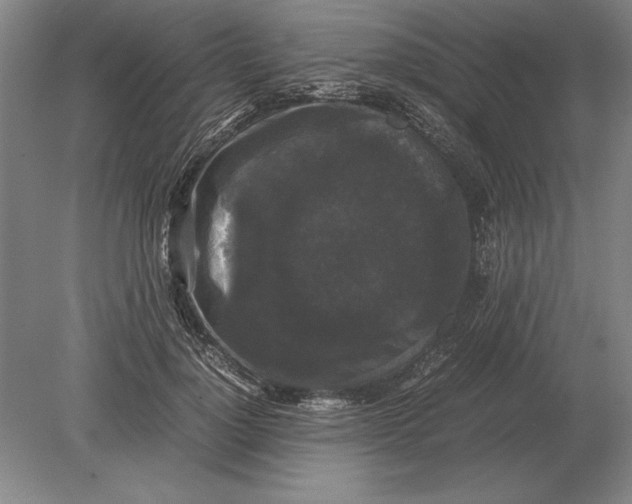 X0000078840748200612041839