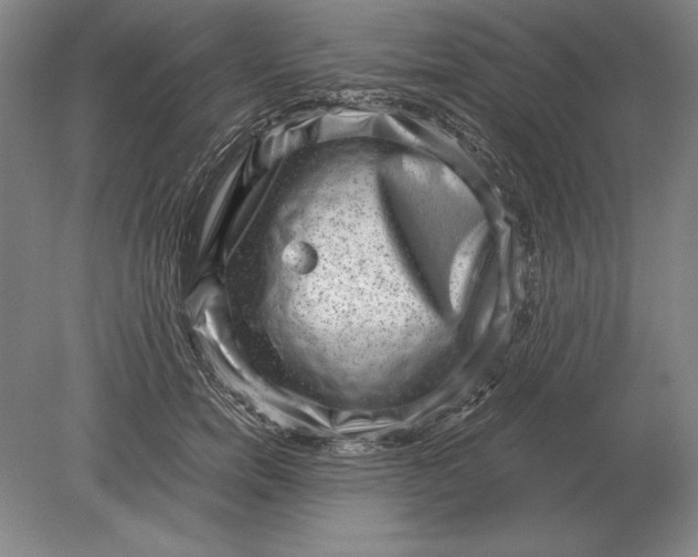 X0000078840750200612041839