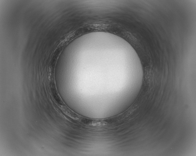 X0000078840752200612041839