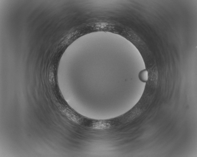 X0000078840754200612041839