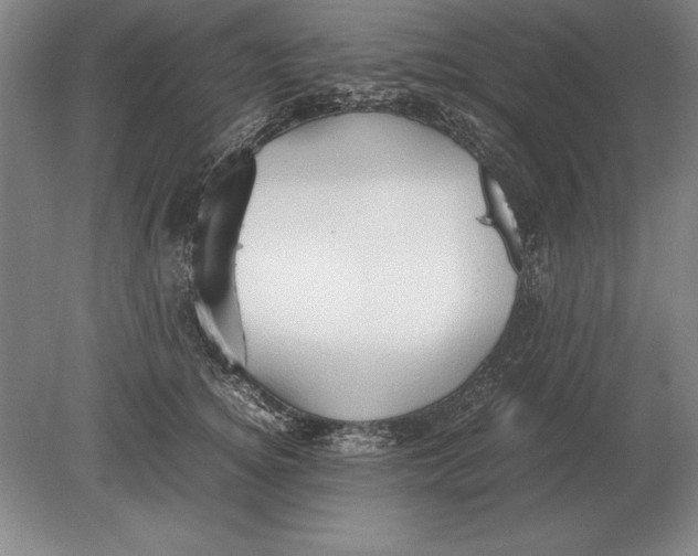 X0000078840756200612041839