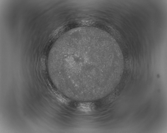 X0000078840757200612041839