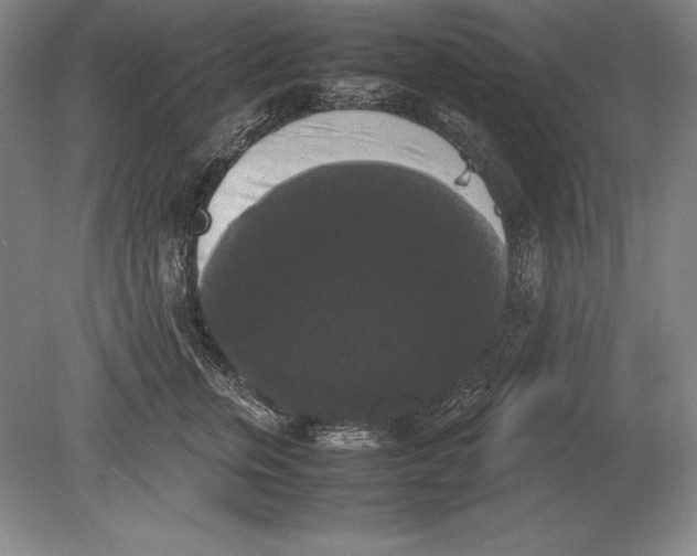 X0000078840759200612041839