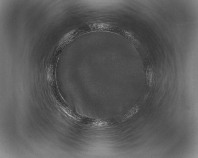 X0000078840760200612041839