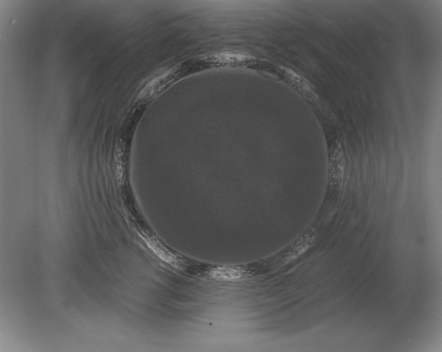 X0000078840762200612041839