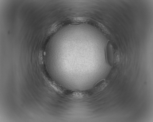 X0000078840764200612041839