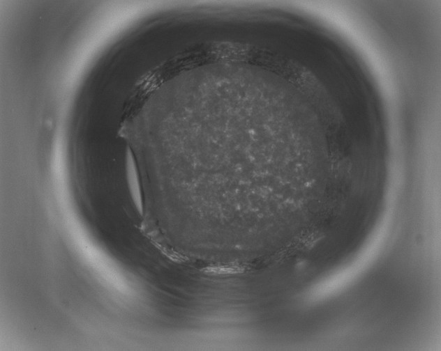 X0000078840765200612041839