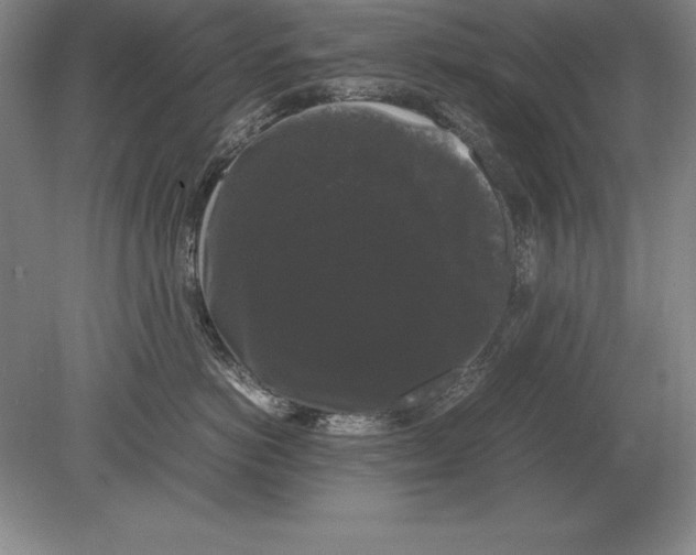 X0000078840766200612041839