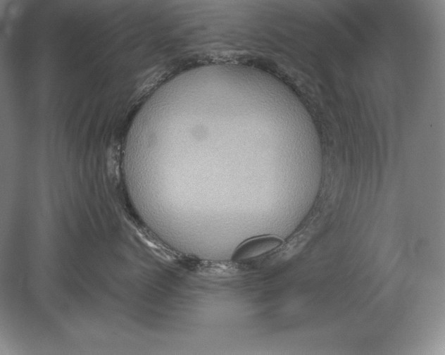 X0000078840768200612041839