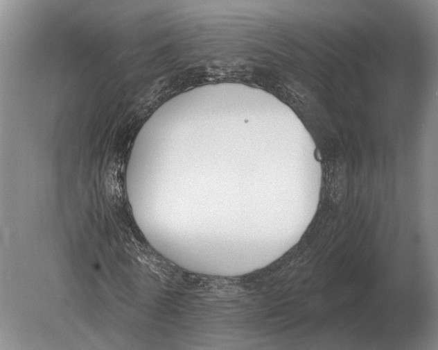 X0000078840770200612041838