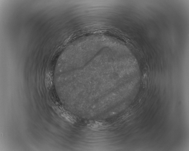 X0000078840772200612041838