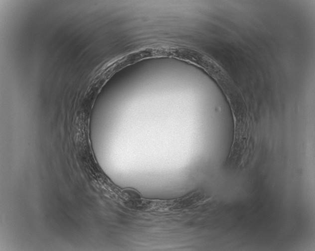 X0000078840773200612041838