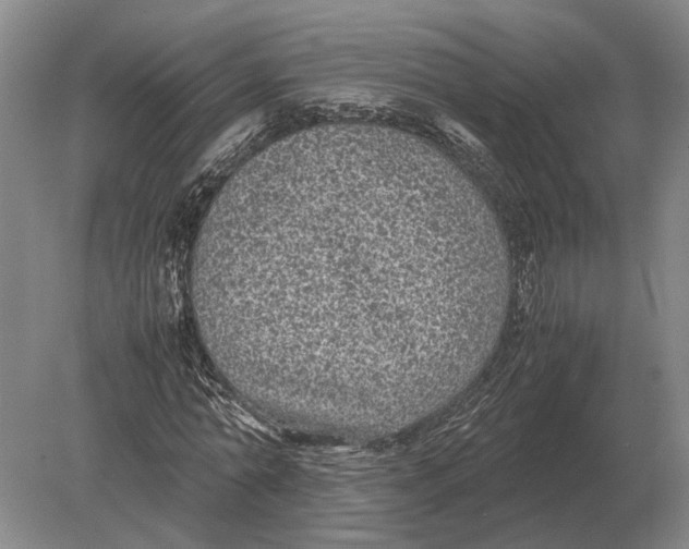 X0000078840774200612041838