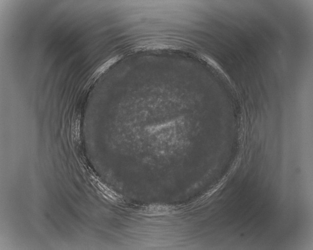 X0000078840777200612041838