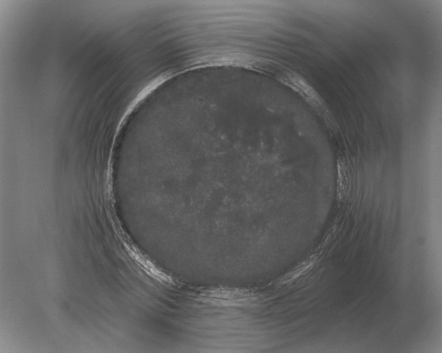 X0000078840780200612041838