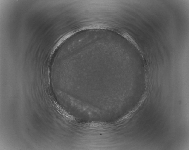 X0000078840781200612041838