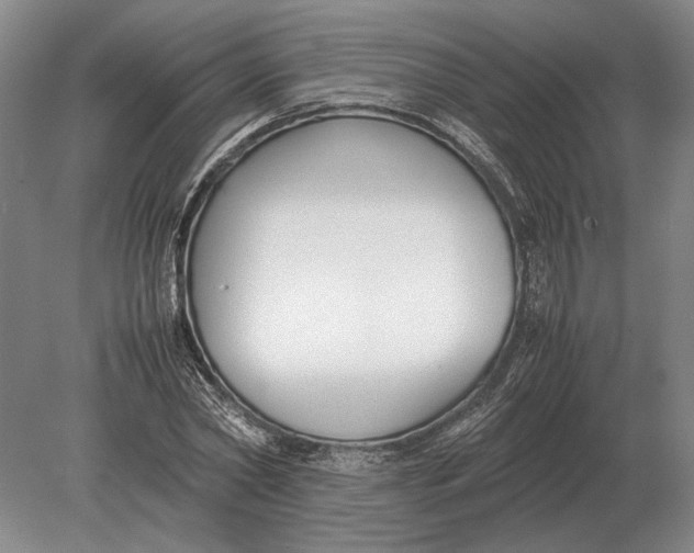 X0000078840782200612041838