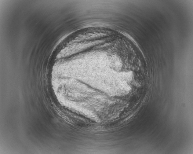 X0000078840783200612041838