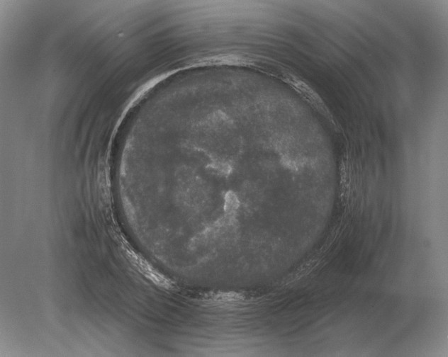 X0000078840784200612041838