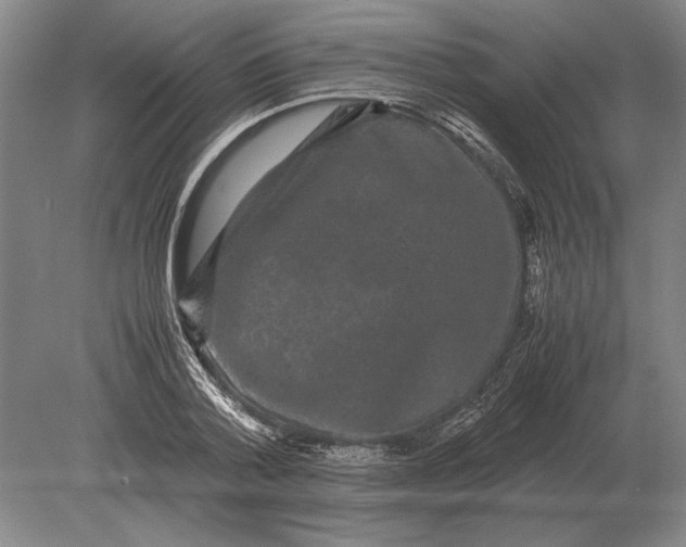 X0000078840788200612041838