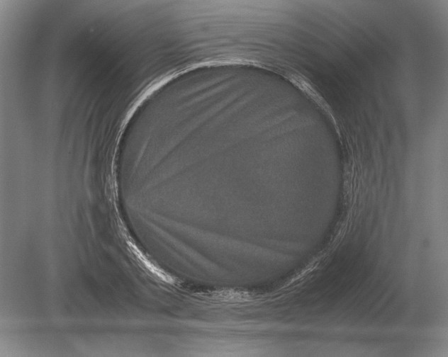 X0000078840789200612041838