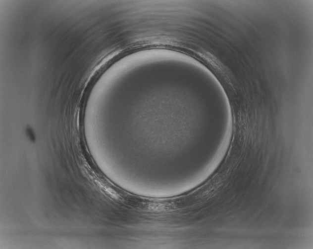 X0000078840790200612041838