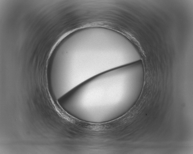 X0000078840792200612041838