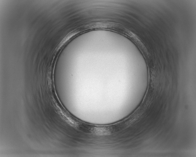 X0000078840794200612041838