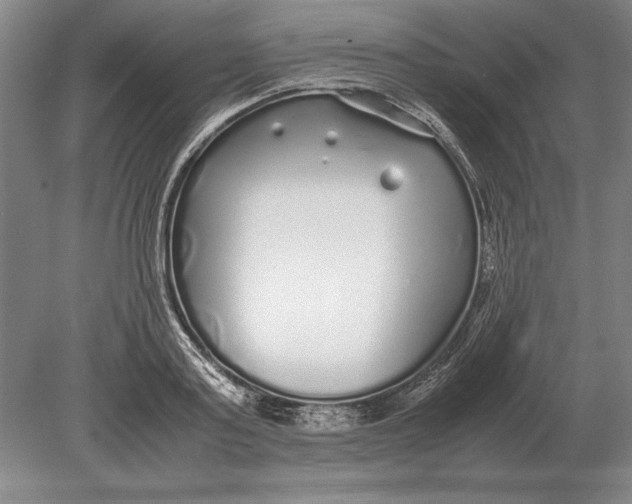 X0000078840795200612041838