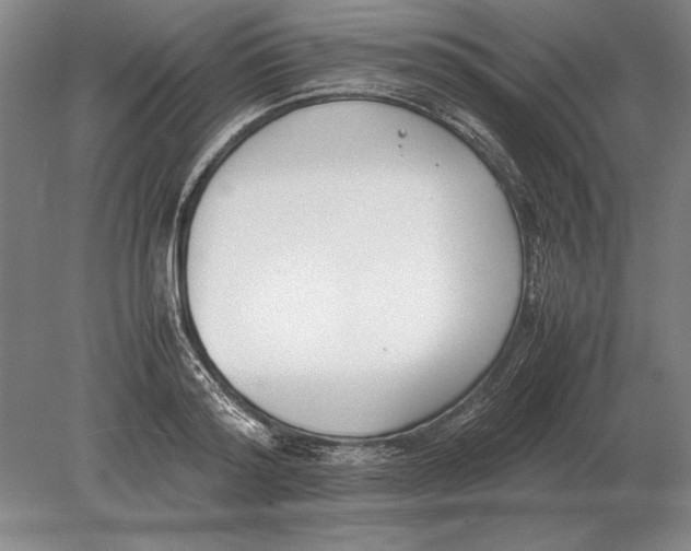 X0000078840796200612041838