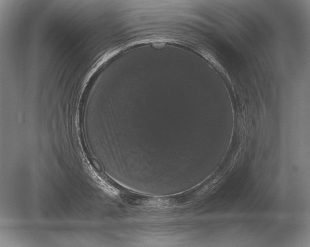 X0000078840797200612041838