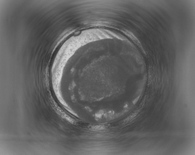 X0000078840798200612041838