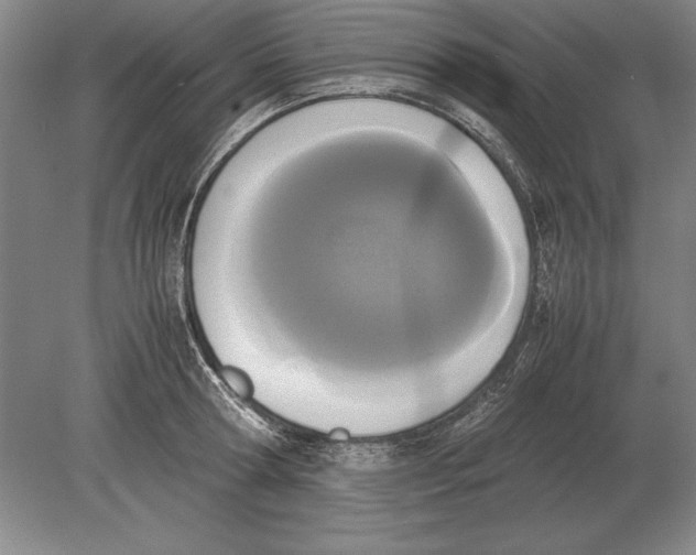 X0000078840802200612041838