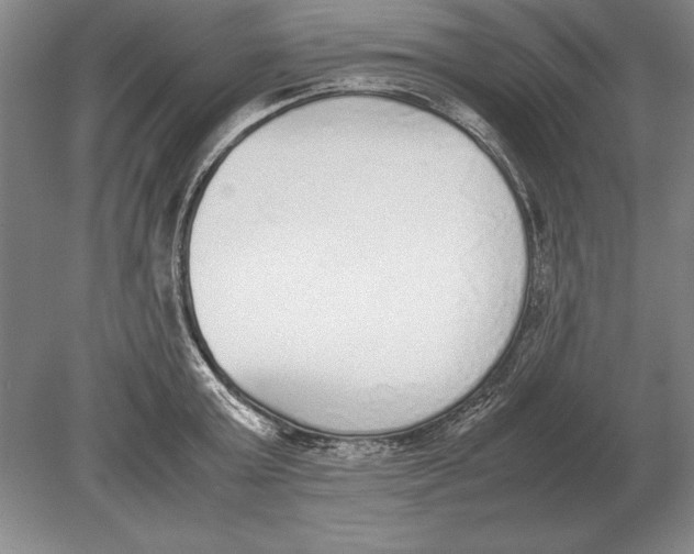 X0000078840803200612041838