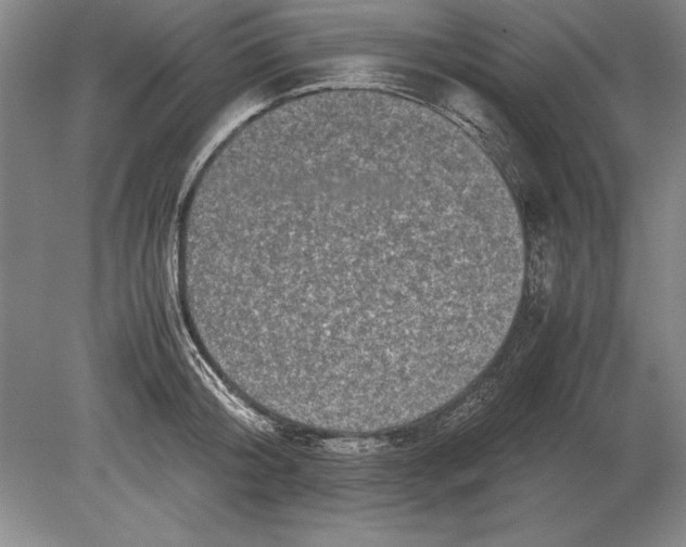 X0000078840804200612041838