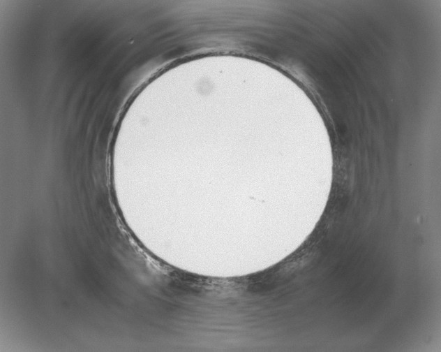 X0000078840807200612041838