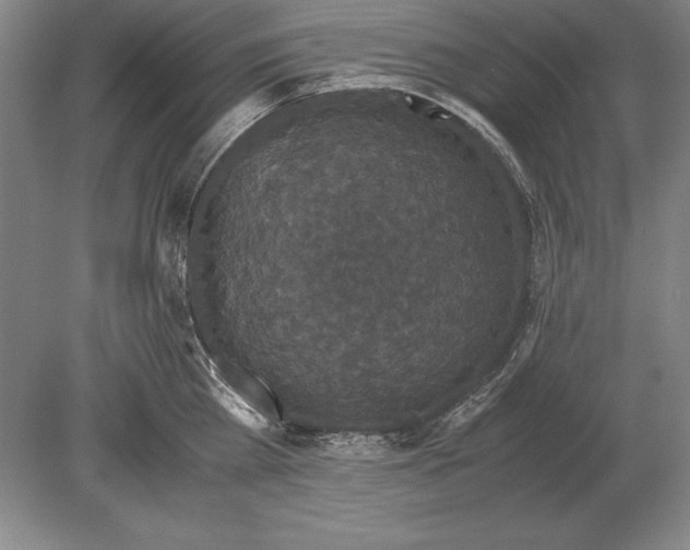 X0000078840809200612041838