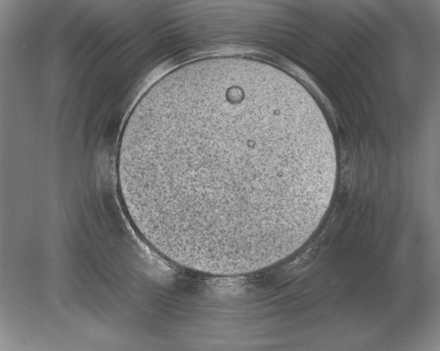 X0000078840810200612041838