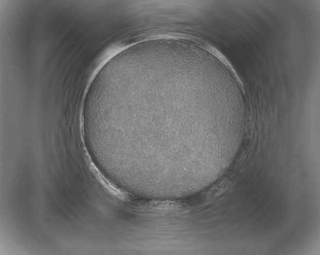 X0000078840811200612041838