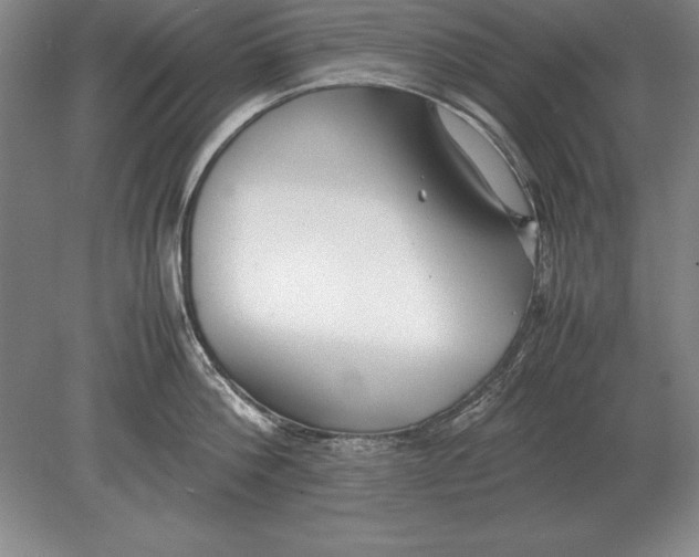 X0000078840812200612041838