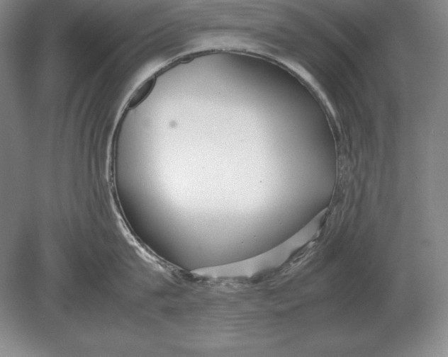 X0000078840815200612041838