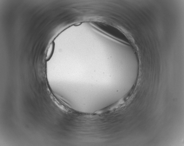 X0000078840816200612041838