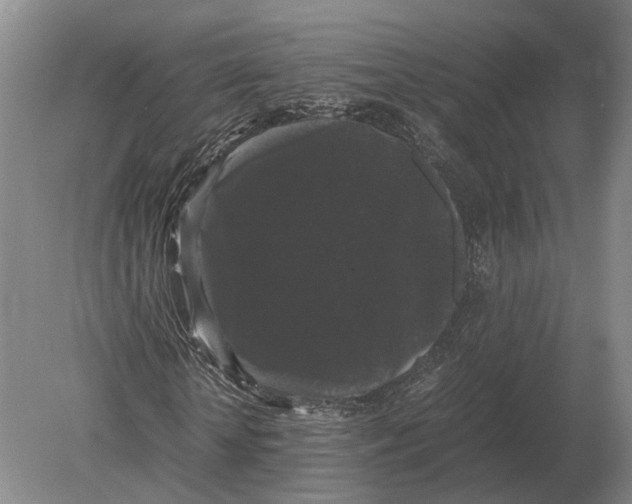 X0000078840818200612041837